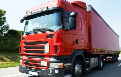 Bursa Lice Ambar Kargo